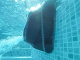 Robot de piscine sans fil Dolphin LIBERTY 400 - Autre vue