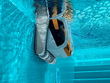 Robot de piscine electrique Dolphin E60i avec chariot - Autre vue
