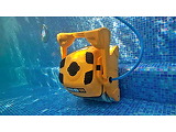 Robot piscine professionnel Dolphin WAVE 100 avec telecommande - Autre vue